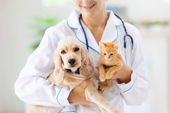 Royal Oaks Veterinary Hospital 12