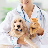 Royal Oaks Veterinary Hospital ico