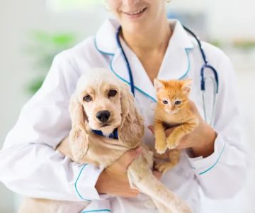 Royal Oaks Veterinary Hospital
