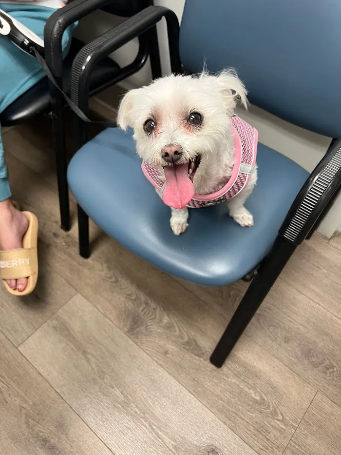Royal Oaks Veterinary Hospital 12