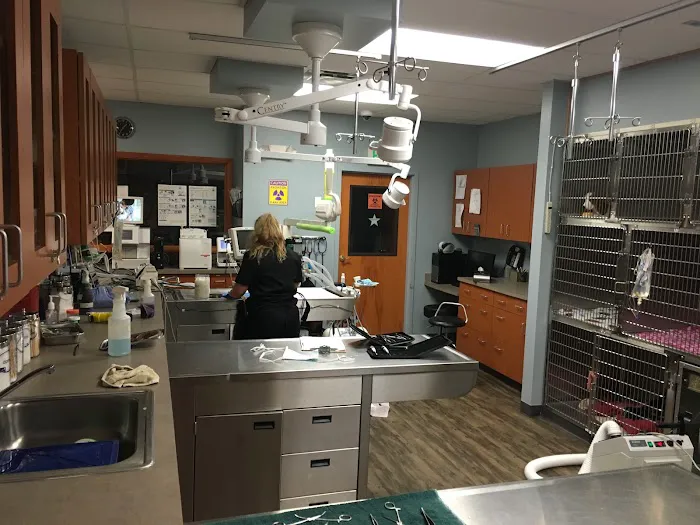 Royal Oaks Veterinary Hospital 12
