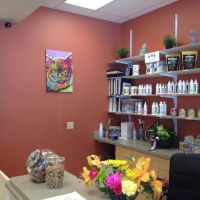 CarePlus Veterinary Clinic ico