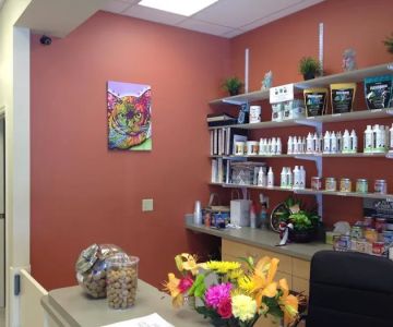 CarePlus Veterinary Clinic