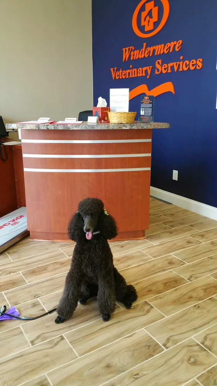 Windermere Veterinary Services 12