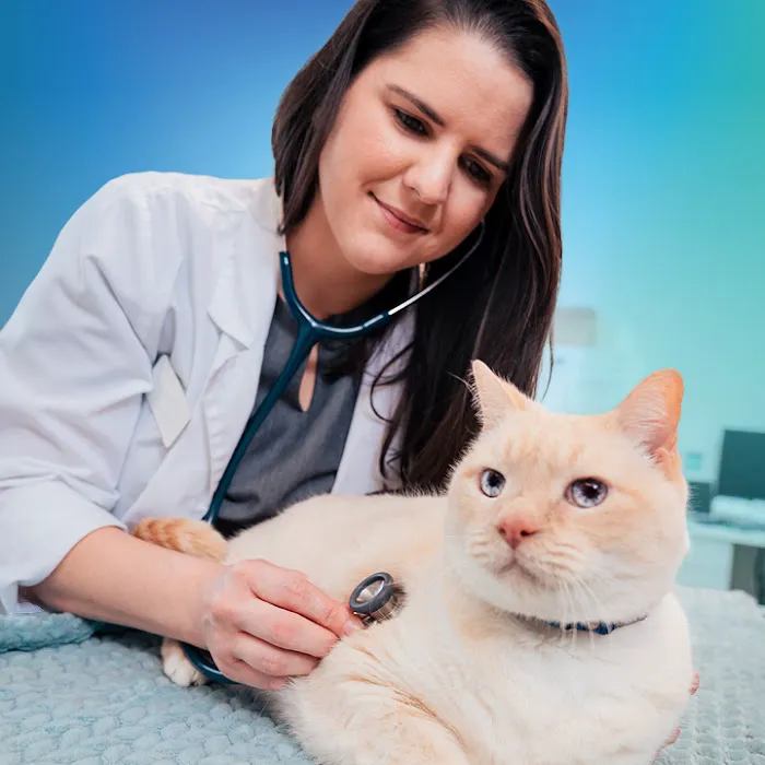 NewDay Veterinary Care 12