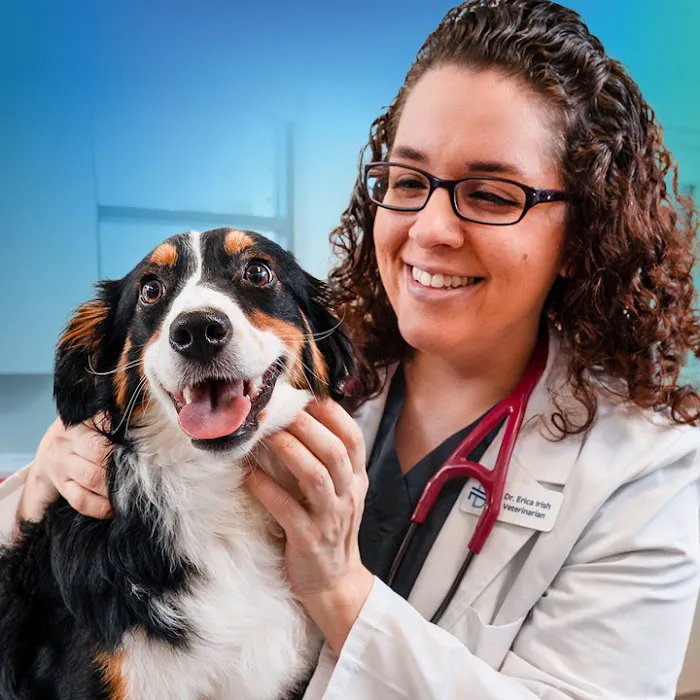 NewDay Veterinary Care 12
