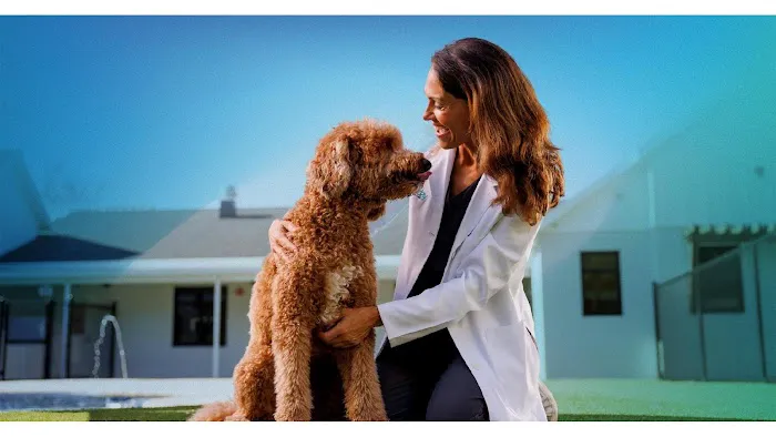 NewDay Veterinary Care 12