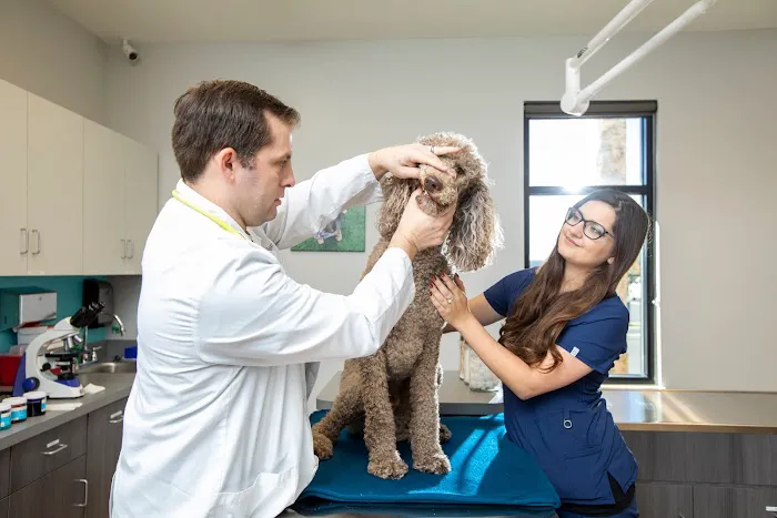 NewDay Veterinary Care 12