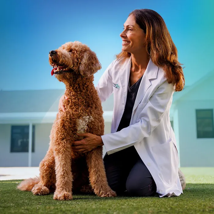 NewDay Veterinary Care 12