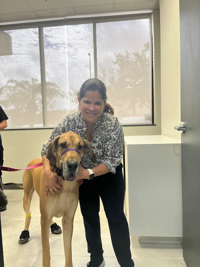 Graceful Paws Pet Clinic 12