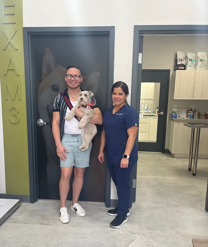 Graceful Paws Pet Clinic 12