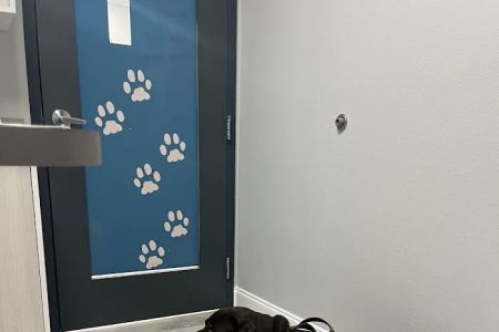 Graceful Paws Pet Clinic