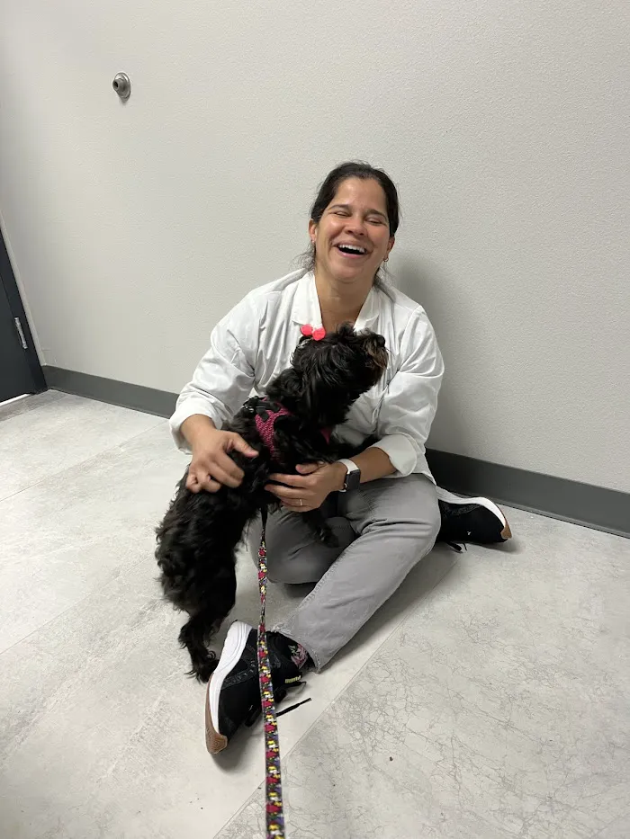 Graceful Paws Pet Clinic 12