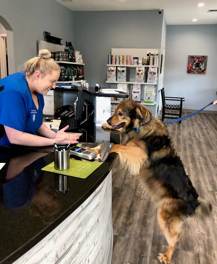 West Orange Veterinary Hospital 12