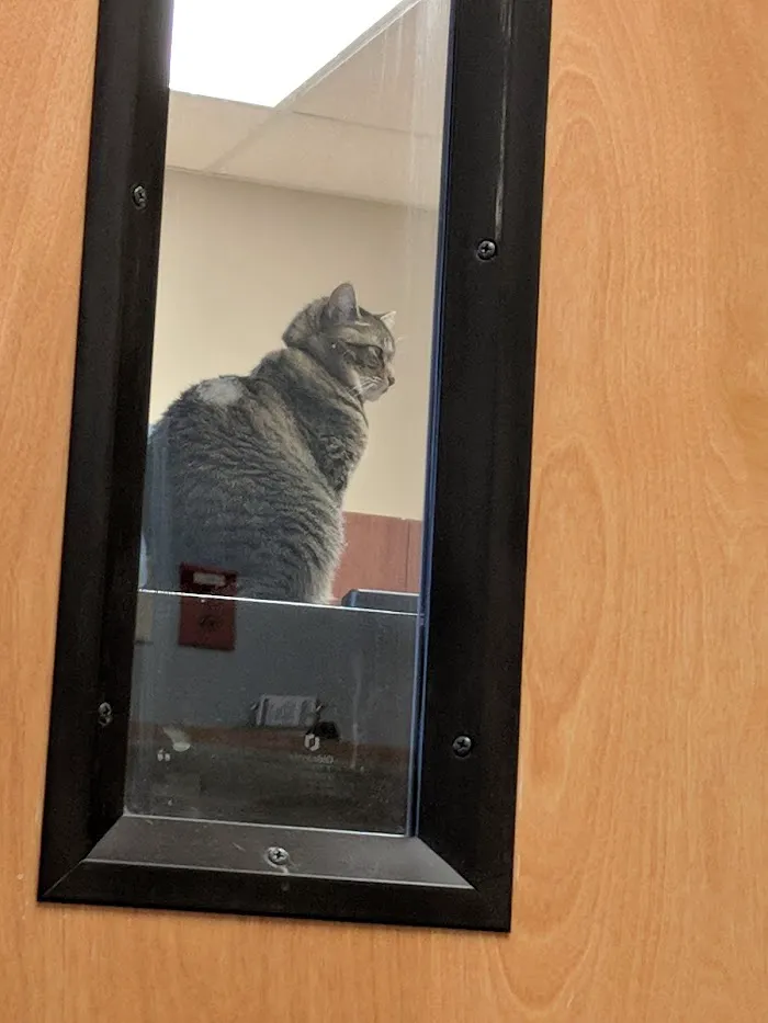 West Orange Veterinary Hospital at Stoneybrook 12