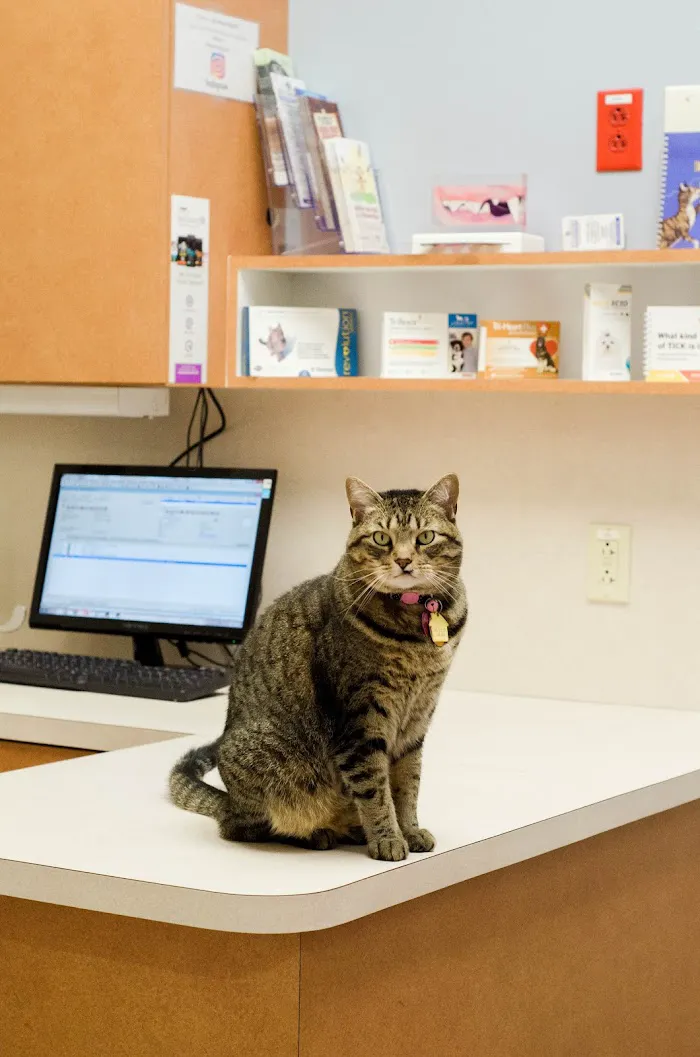 West Orange Veterinary Hospital at Stoneybrook 12