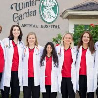 Winter Garden Animal Hospital ico