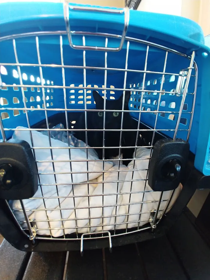 Winter Garden Animal Hospital 12