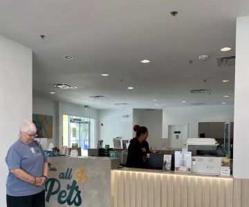 All4 Pets Hospital