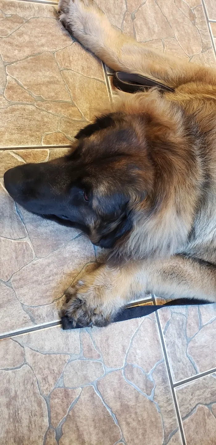 Cedar Bay Veterinary Clinic 12