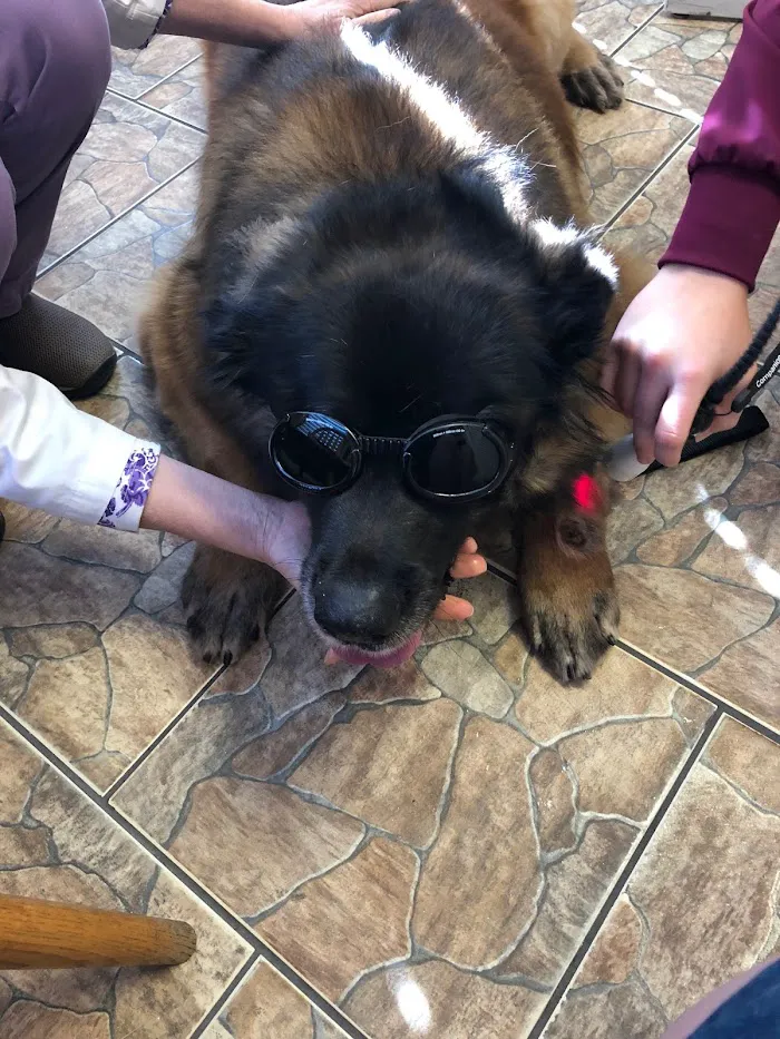 Cedar Bay Veterinary Clinic 12