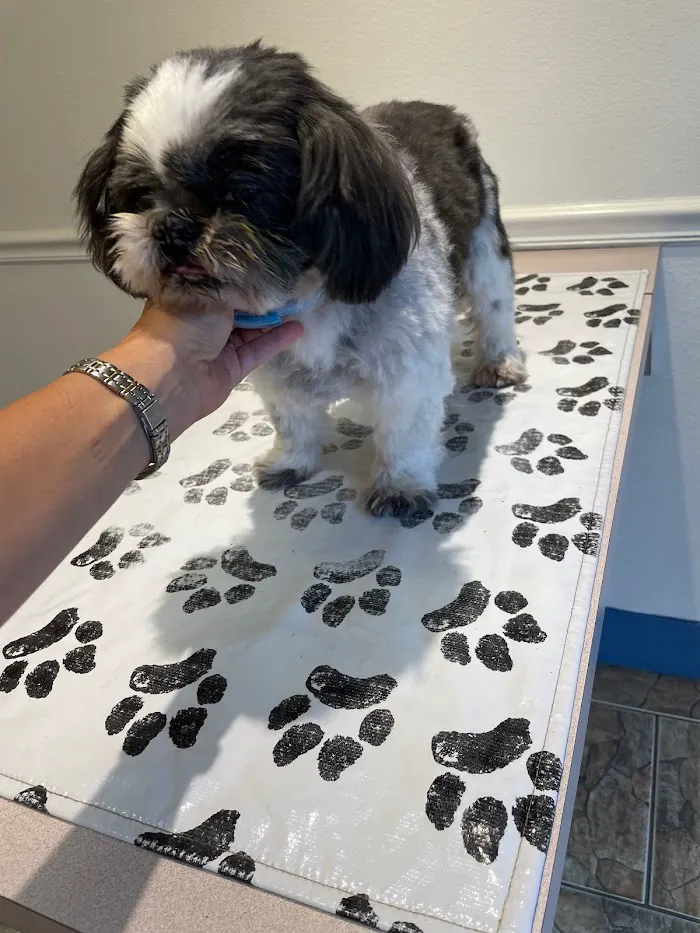 Cedar Bay Veterinary Clinic 12