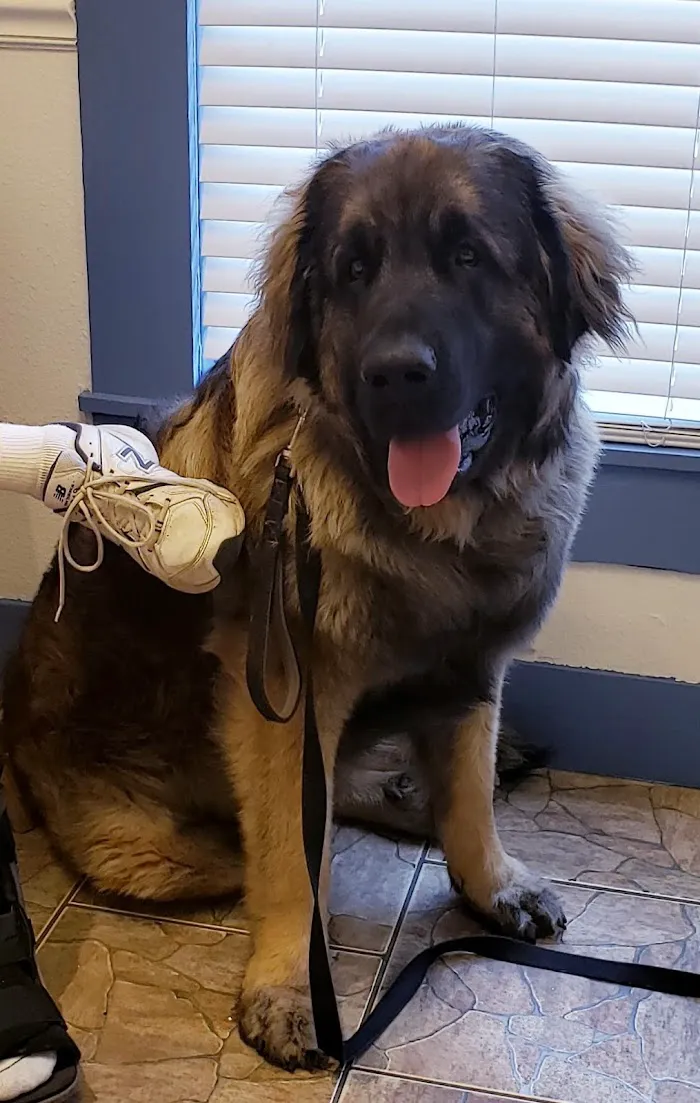 Cedar Bay Veterinary Clinic 12