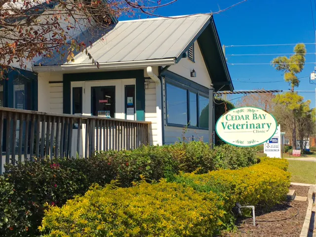 Cedar Bay Veterinary Clinic 12