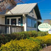 Cedar Bay Veterinary Clinic ico