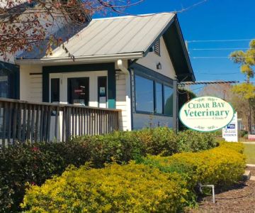 Cedar Bay Veterinary Clinic