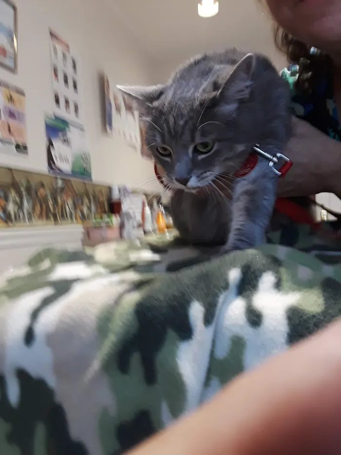 Cedar Bay Veterinary Clinic 12