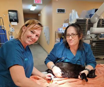 All Care Animal Hospital