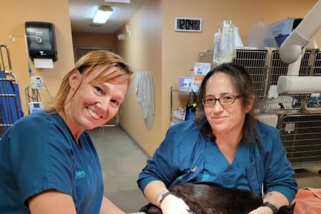 All Care Animal Hospital
