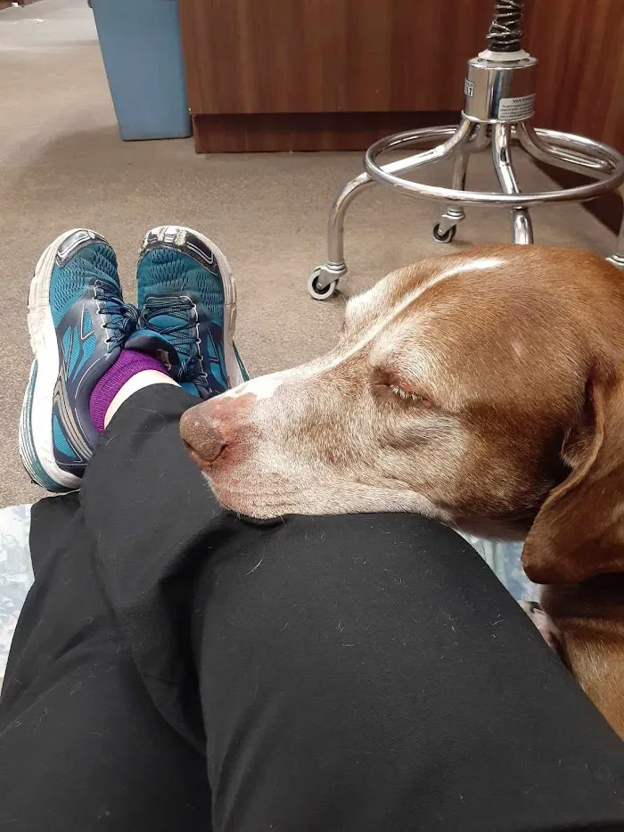 All Care Animal Hospital 12