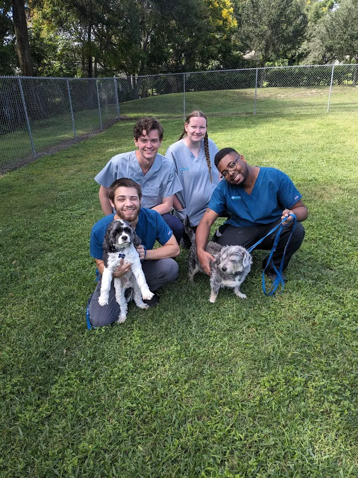 All Care Animal Hospital 12