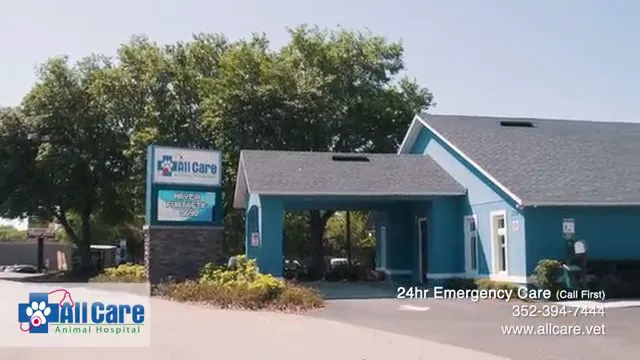All Care Animal Hospital 12