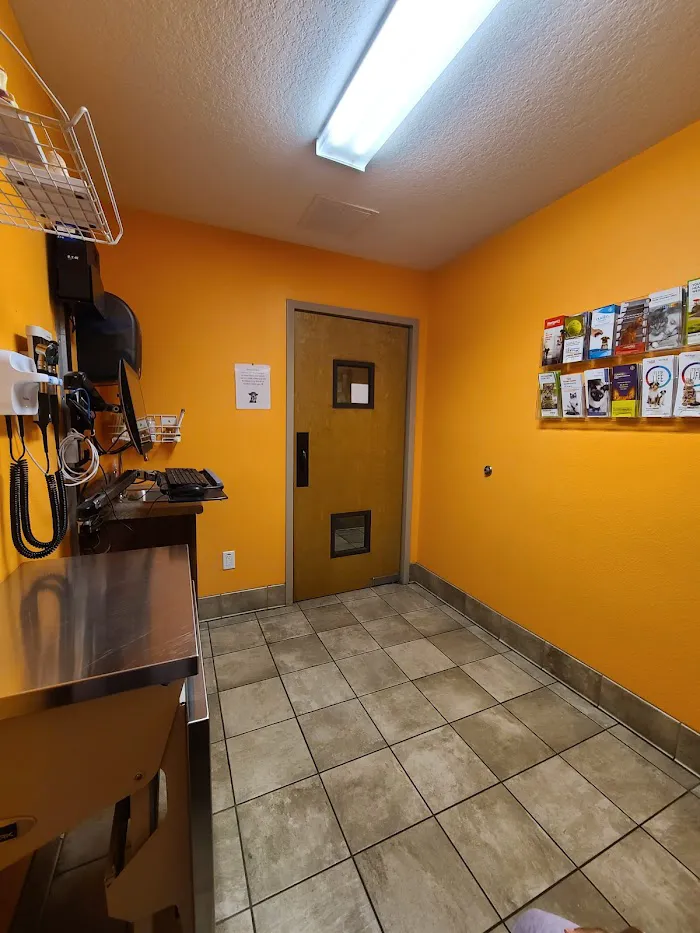 All Care Animal Hospital 12