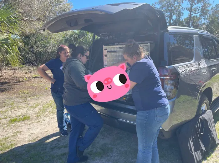 Advanced Mobile Vet 12