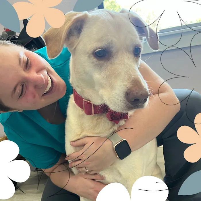 Holistic Veterinary Care of Central Florida 12