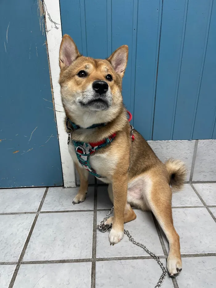 Edgewater Animal Hospital 12