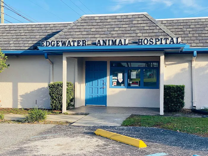 Edgewater Animal Hospital 12
