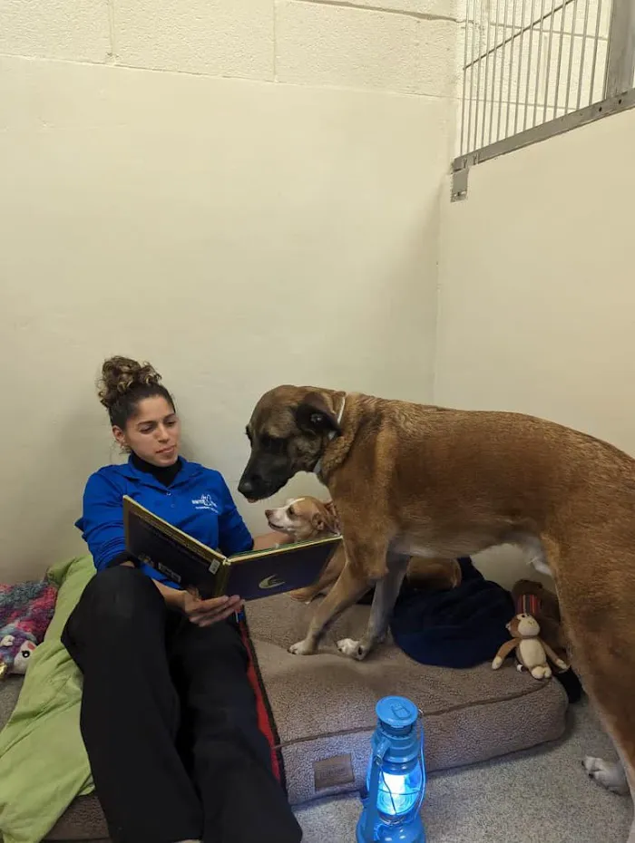 Winter Park Veterinary Hospital 12