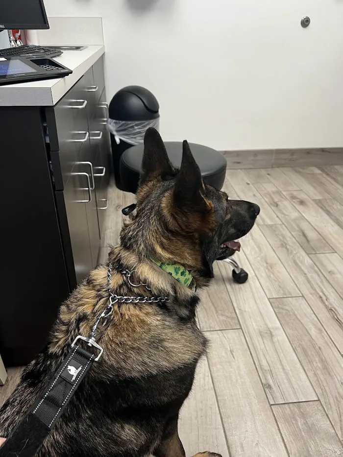 Winter Park Veterinary Hospital 12