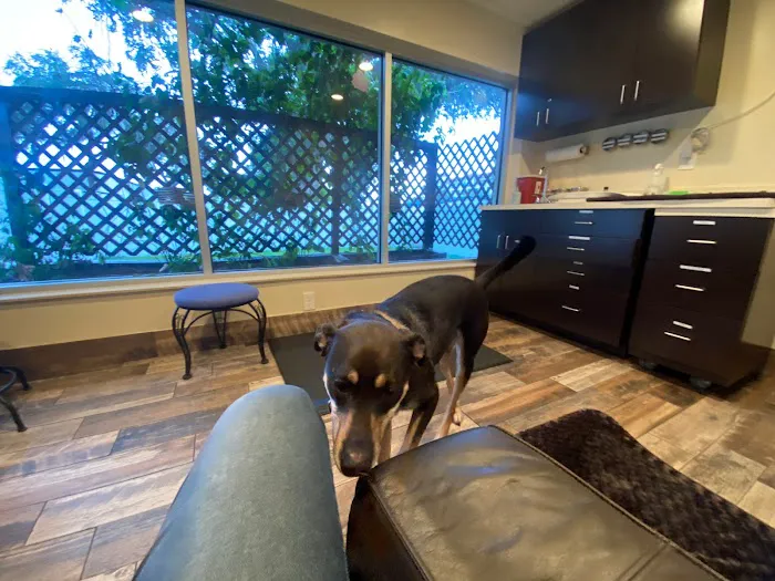 Winter Park Veterinary Hospital 12