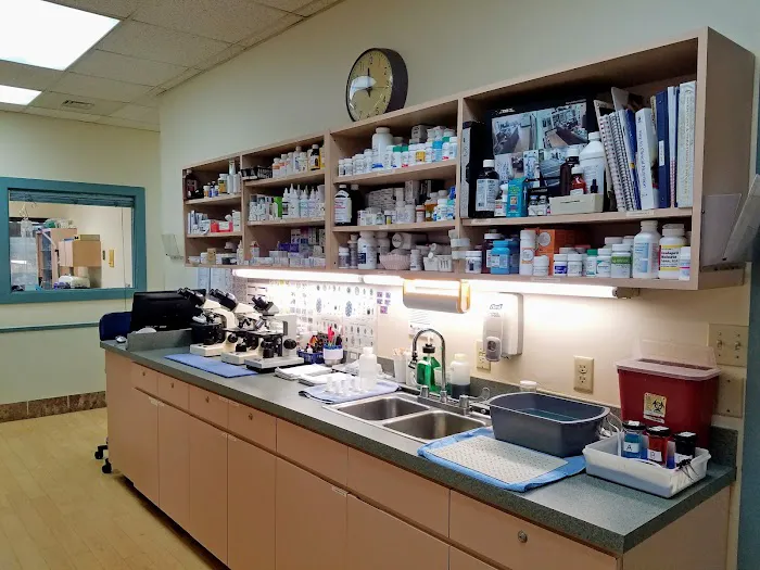Tuscawilla Animal Hospital 12