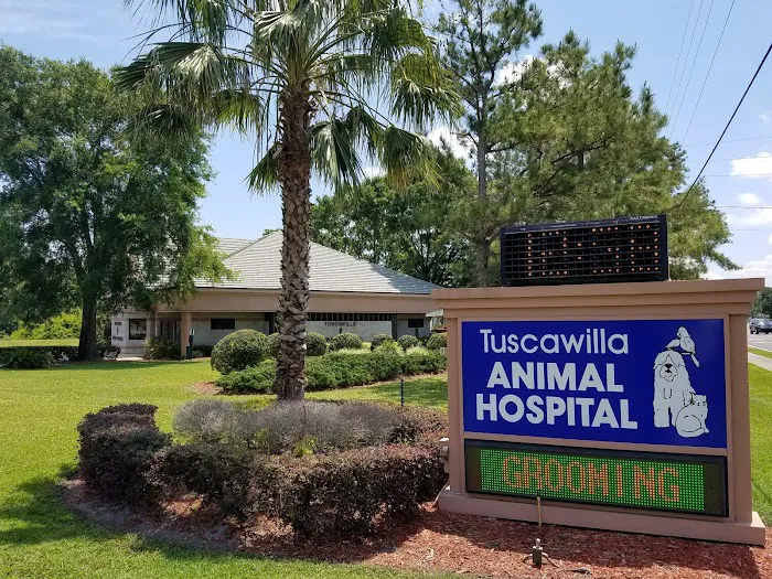 Tuscawilla Animal Hospital 12
