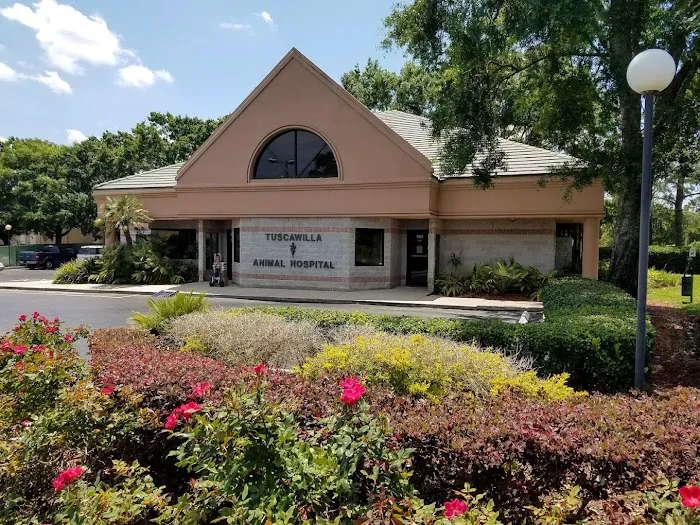 Tuscawilla Animal Hospital 12