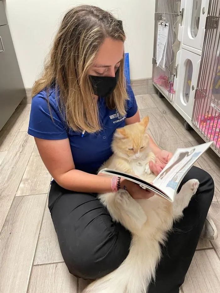 Winter Park Vet Wellness Center 12
