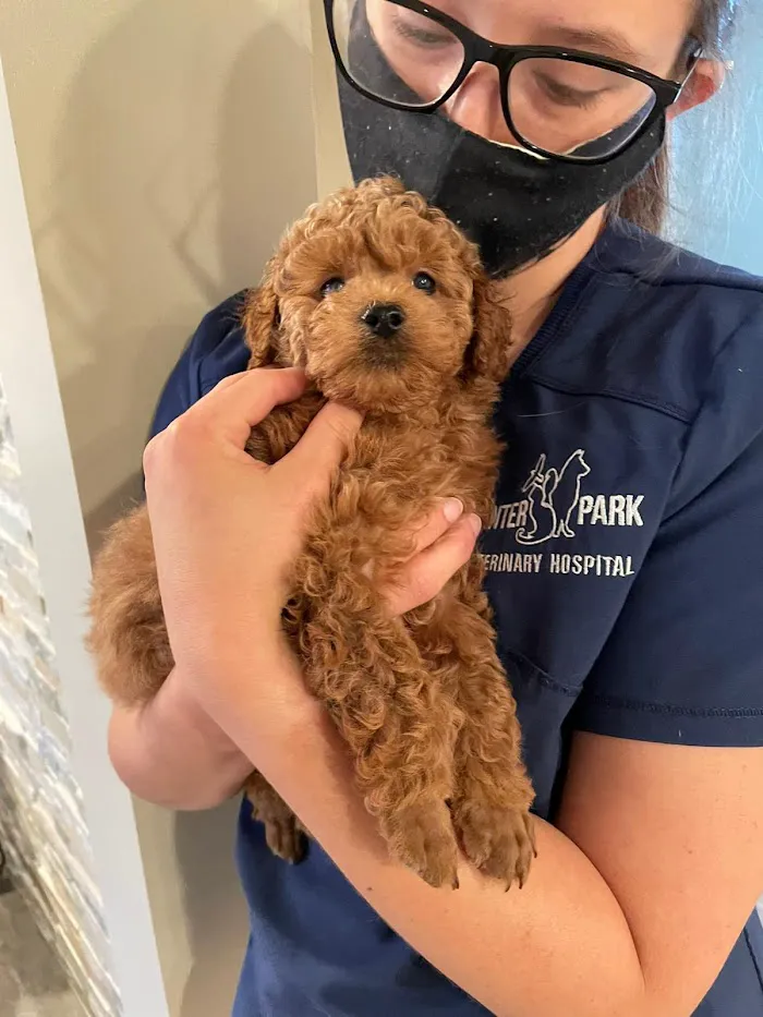 Winter Park Vet Wellness Center 12