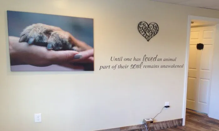 Winter Park Vet Wellness Center 12